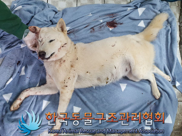 종료(자연사) 믹스…